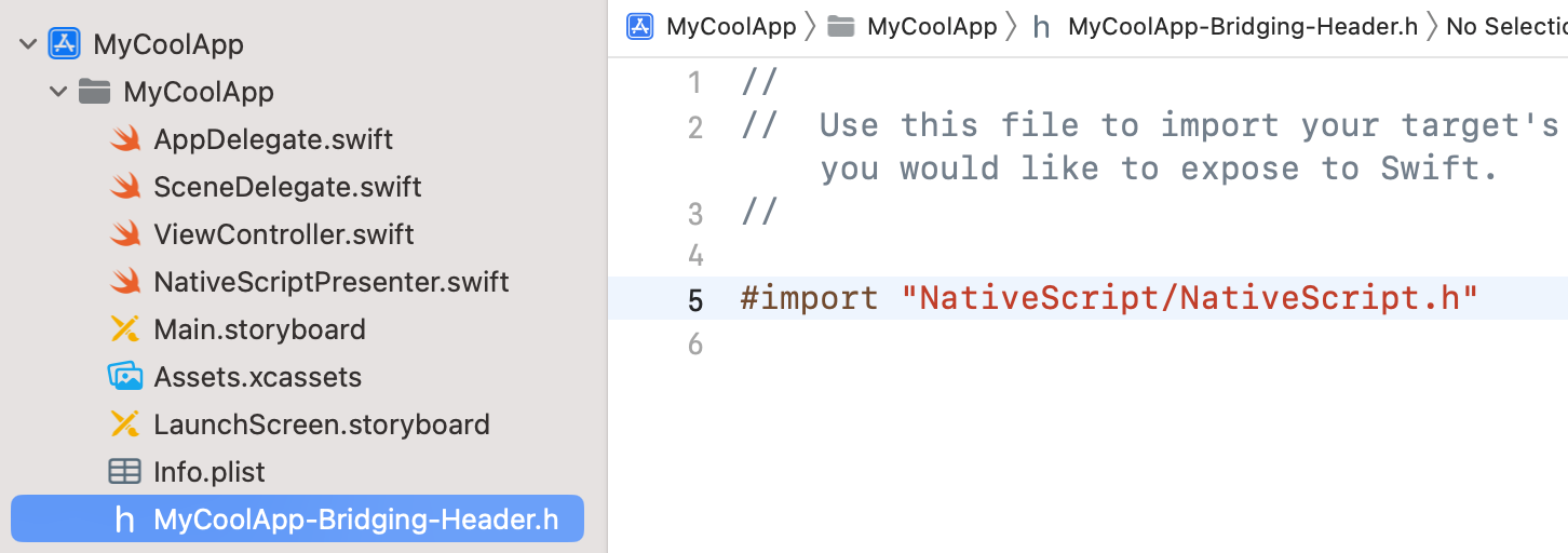 xcode-bridging-header4